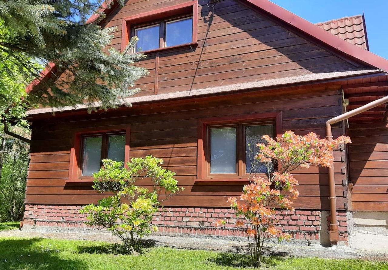 Domek Zacisze Laskowa  Exterior photo